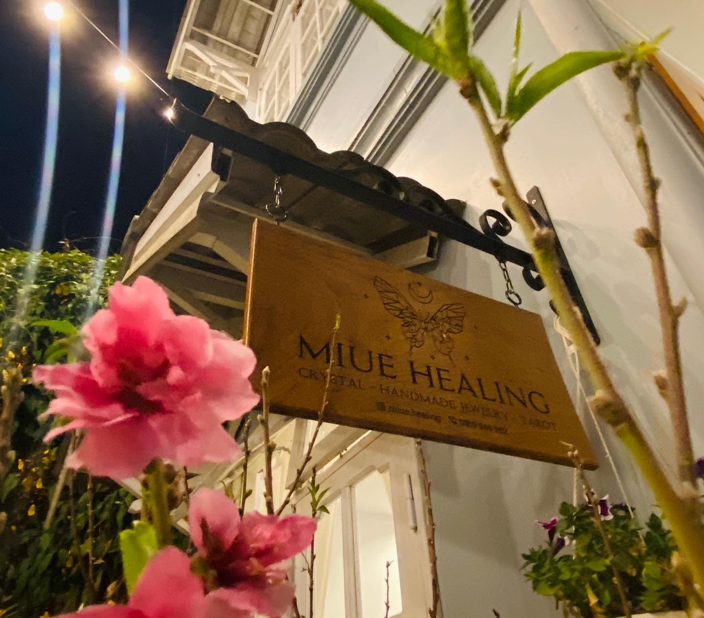 Không gian Miue.healing — tiệm đá trong nhà gỗ